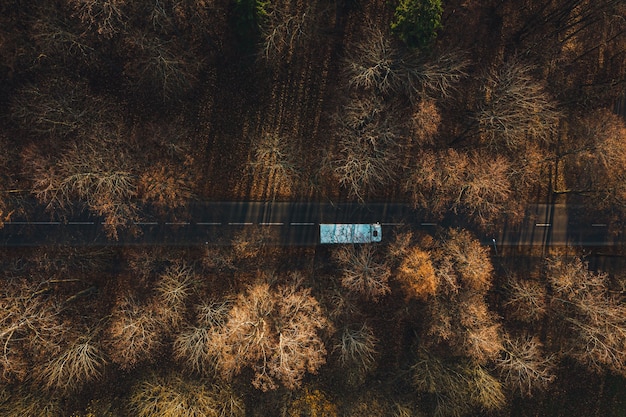 Aerial View Of A Car Driving On The Asphalt Road Surrounded By Golden Trees In Autumn