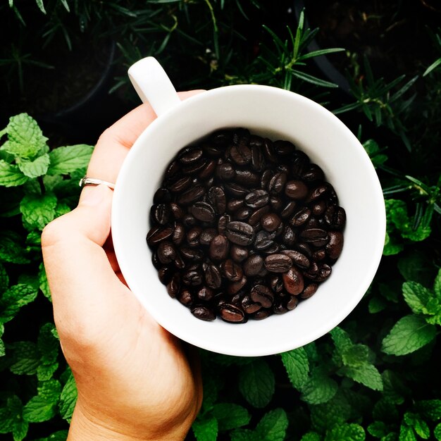 Aerial view of coffee beans cup