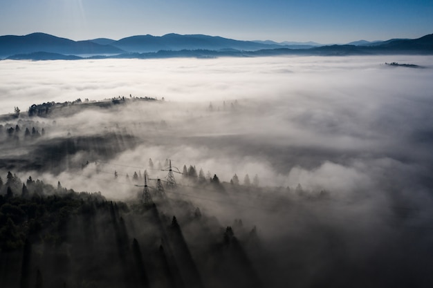 Aerial view of colorful mixed forest shrouded in morning fog on a beautiful autumn day