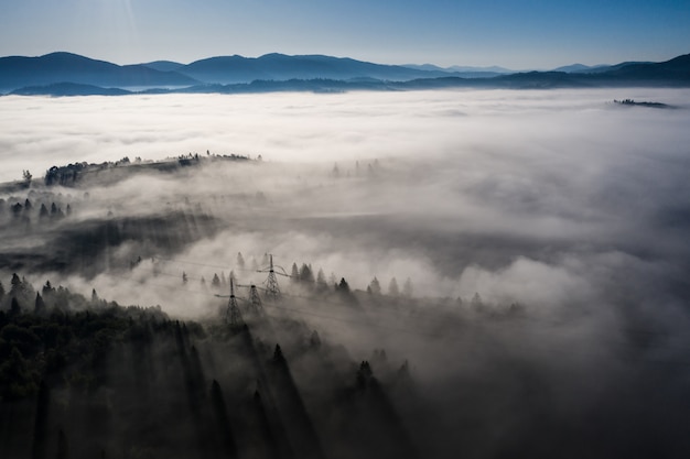 美しい秋の日の朝の霧に包まれたカラフルな混交林の空撮