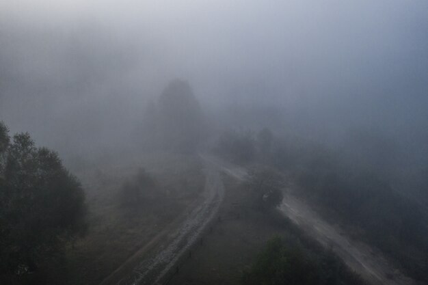 Aerial view of colorful mixed forest shrouded in morning fog on a beautiful autumn day