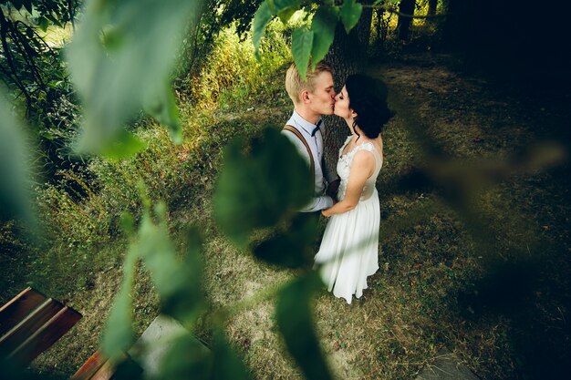 Aerial view of a couple