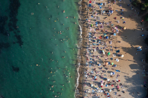해변에있는 사람들의 군중의 항공보기