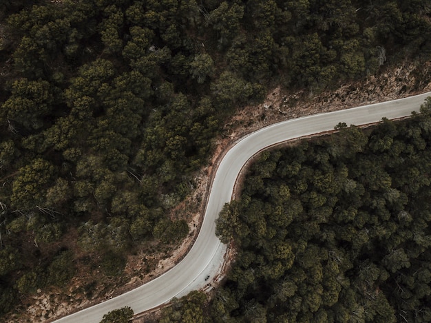 Aerial view of empty road surrounded by green coniferous trees