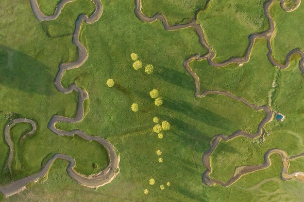 Aerial view of extraordinary meadow with many paths