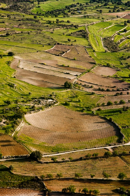 Free photo aerial view at farm fields