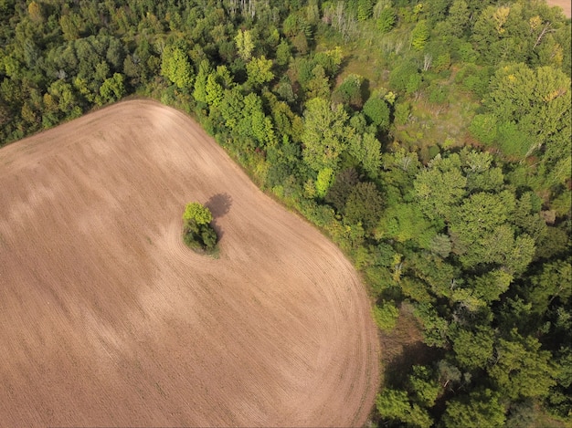 Free photo aerial view of fields at sunset