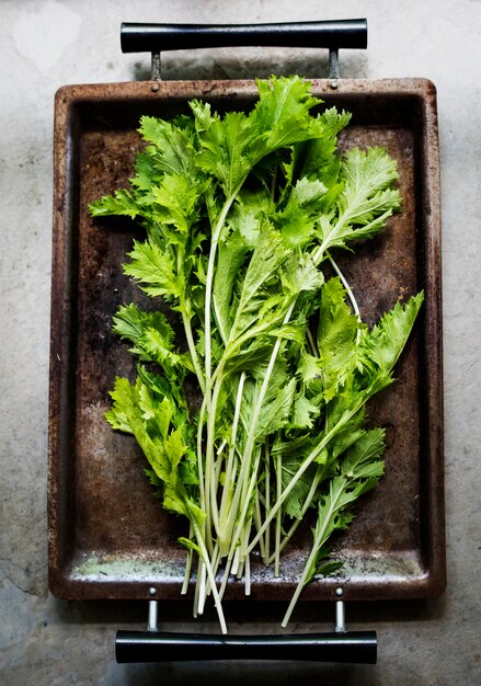 Aerial view of green organic leafy vegetable on wooden background