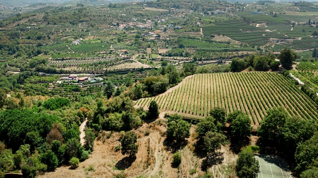 Aerial view to green rural landscape