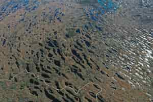 Foto gratuita vista aerea della zona del lago con vegetazione