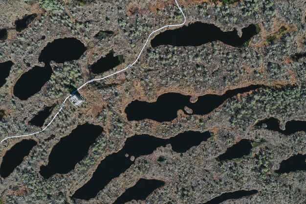 Вид с воздуха на озерную территорию с растительностью