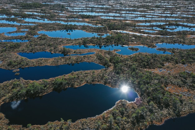 Foto gratuita vista aerea della zona del lago con vegetazione