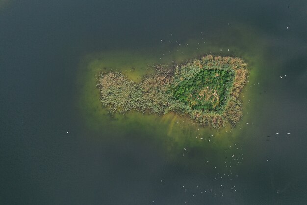 Aerial view of lake