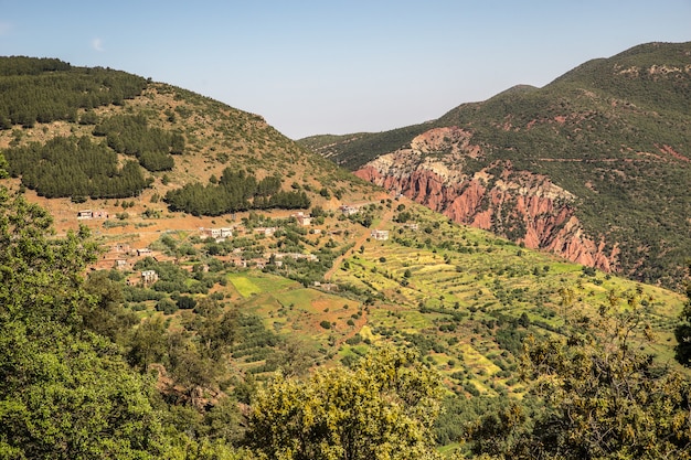 Aerial view of mountains covered with trees and vegetation