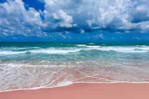 Бесплатное фото Вид с воздуха на розовый пляж и голубую океанскую волну.