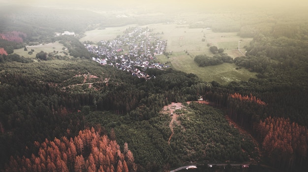 무료 사진 울창한 숲 사이 시골 집의 항공보기