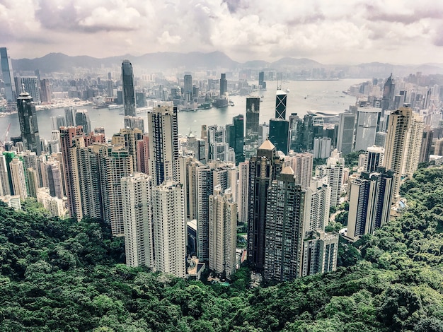 무료 사진 흐린 하늘 아래 홍콩의 빅토리아 피크 언덕의 공중보기