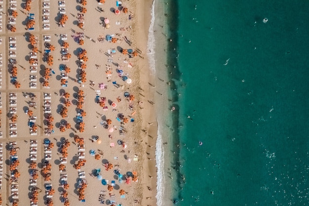 海の近くのビーチで休んでいる人々の空撮