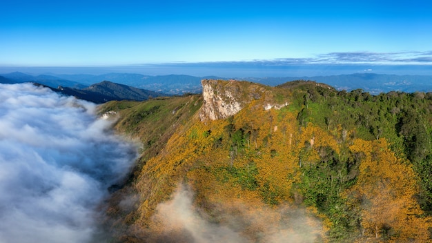 タイ、チェンライのメキシコの花とプーチーファー山の空撮