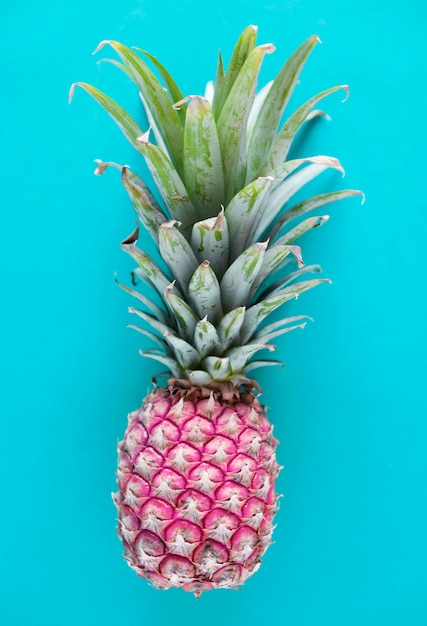 Aerial view of pineapple blue background