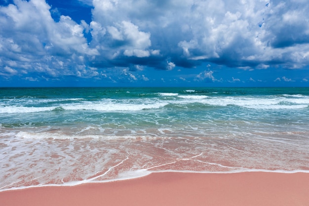 Aerial view of pink beach and blue ocean wave.