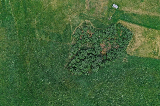 Aerial view of plains and fields