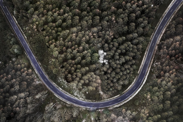 魅惑的な鬱蒼とした森の中の道路の航空写真