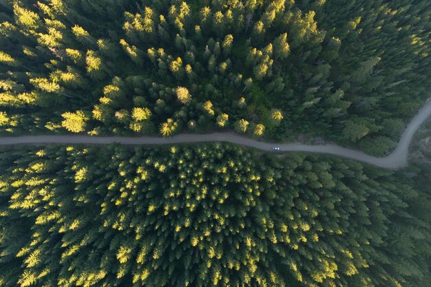 Aerial view of a road in the middle of an autumn forest full of colorful trees