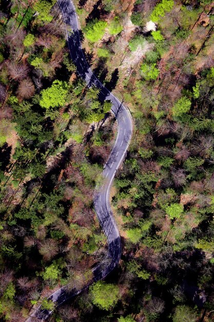 緑の木々の真ん中に道路の空撮