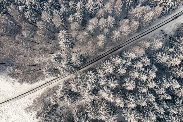 Aerial view of a road through trees in a winter forest