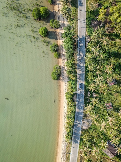 Aerial view of a road next to the trees and the lake