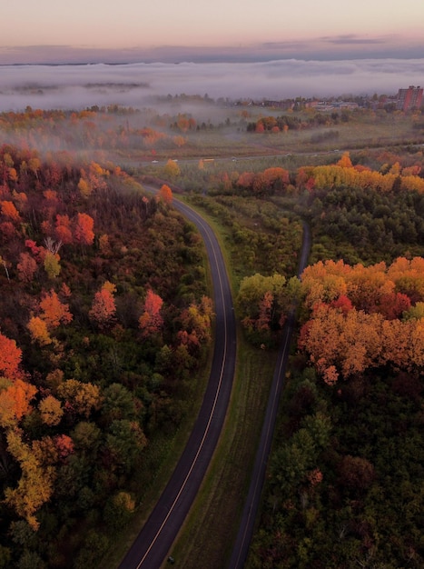 가을 날 숲을 가로지르는 도로의 항공 사진 프리미엄 사진