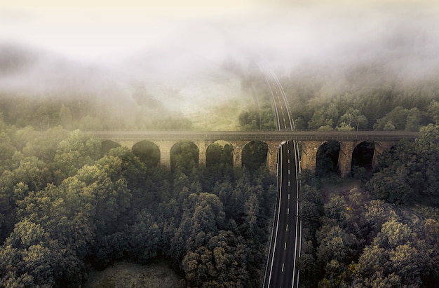 Aerial view shot of a road surrounded by greenery and clouds