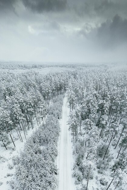 겨울날 숲속의 눈 덮인 도로의 공중 전망