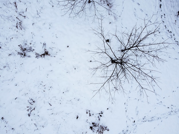 Aerial view of a snowy surface