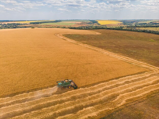 Aerial view of summer harvest Combine harvester harvesting large field