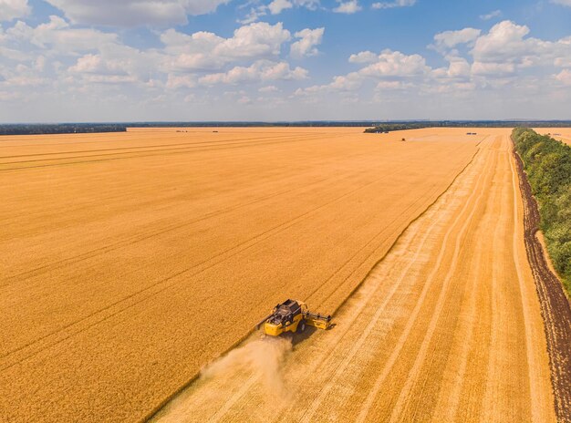 Aerial view of summer harvest Combine harvester harvesting large field