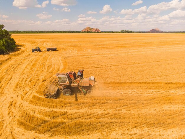 Aerial view of summer harvest Combine harvester harvesting large field