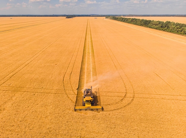 Аэрофотоснимок летнего урожая Комбайн собирает большое поле
