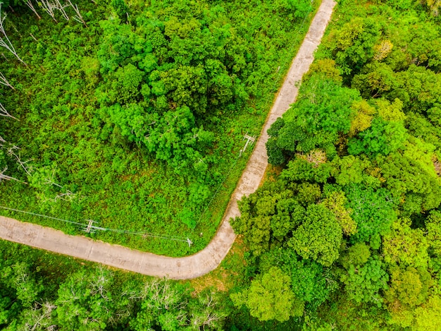 Вид с воздуха на лес в лесу с дорогой