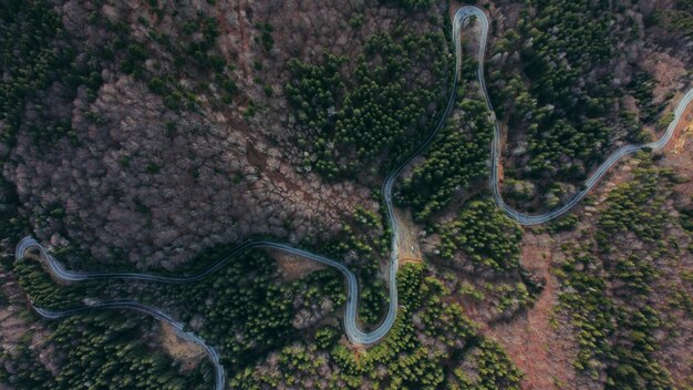 Aerial view of a winding road surrounded by greens and trees