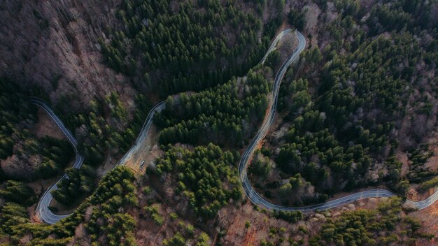 Aerial view of a winding road surrounded by greens and trees