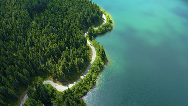 Aerial view of a winding road surrounded by the ocean and the pine tree forest