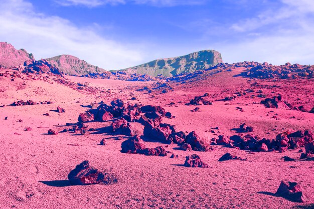 aesthetic retro vaporwave landscape