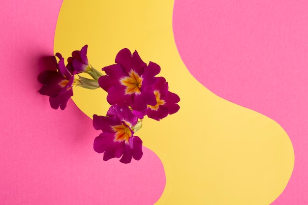 Aesthetic spring wallpaper with flowers