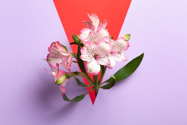 Aesthetic spring wallpaper with freesias