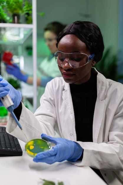 페트리 접시에 마이크로피펫을 사용하여 액체를 떨어뜨리는 아프리카계 미국인 생물학자