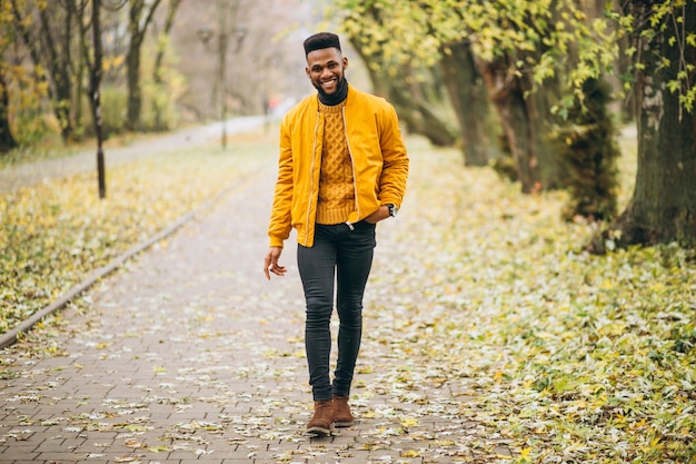 African american student walking in the park