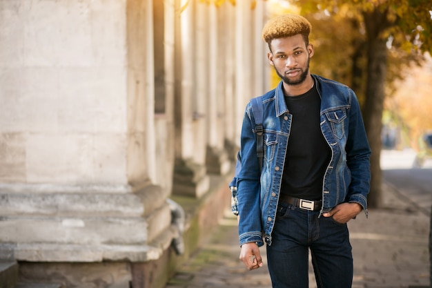 Free photo african american student