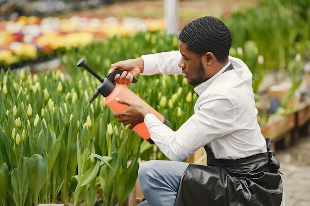 African gardener guy. Gardener with a watering can. Flower beds.